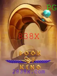BookOfKeno: Descobrindo o Mundo do Jogo 838X